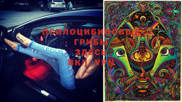 винт Абинск