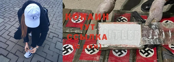 стафф Михайлов